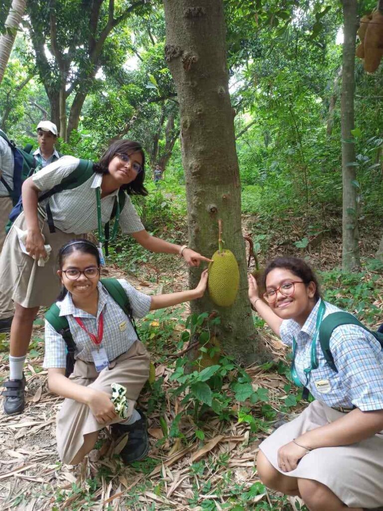 ISA- SCHOOL GARDEN PROJECT (86)