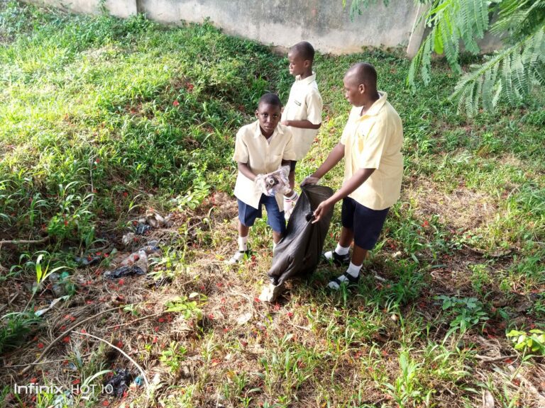 Plastic bottle recycling project (10)